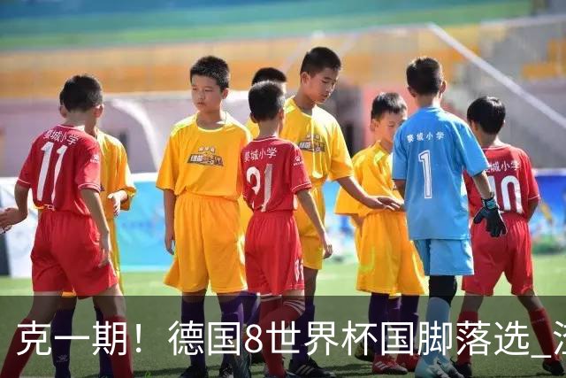 克一期！德国8世界杯国脚落选 渣叔：把这面旗赢回来